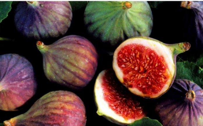 10 bonnes raisons de manger des figues
