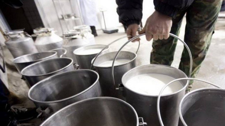 Qumështarët kërkojnë hetim për vendimin e marrë nga Qeveria për masat mbrojtëse