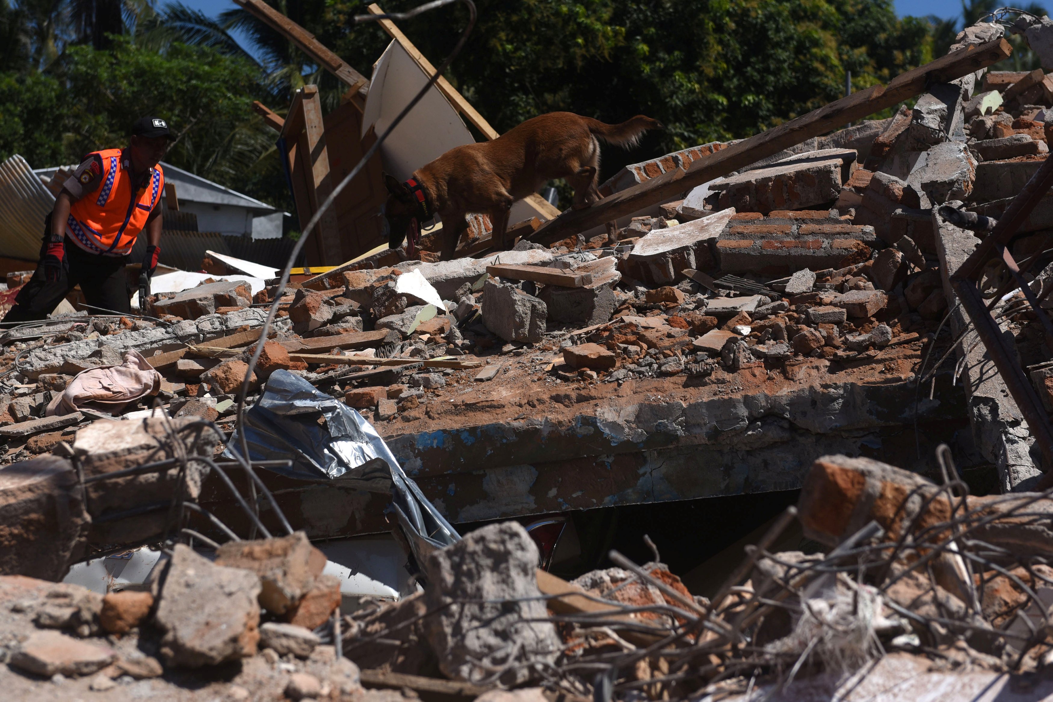 Dy javë pas vdekjes së 460 njerëzve, Indonezia tronditet sërish nga tërmeti