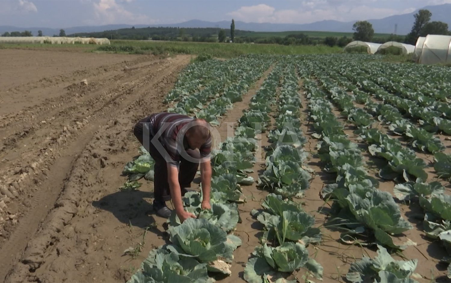 Qeveria do të ndajë fond emergjent edhe për Mamushën