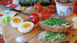 Përfitimet e dietës me pak kripë – cilat ushqime rekomandohen?