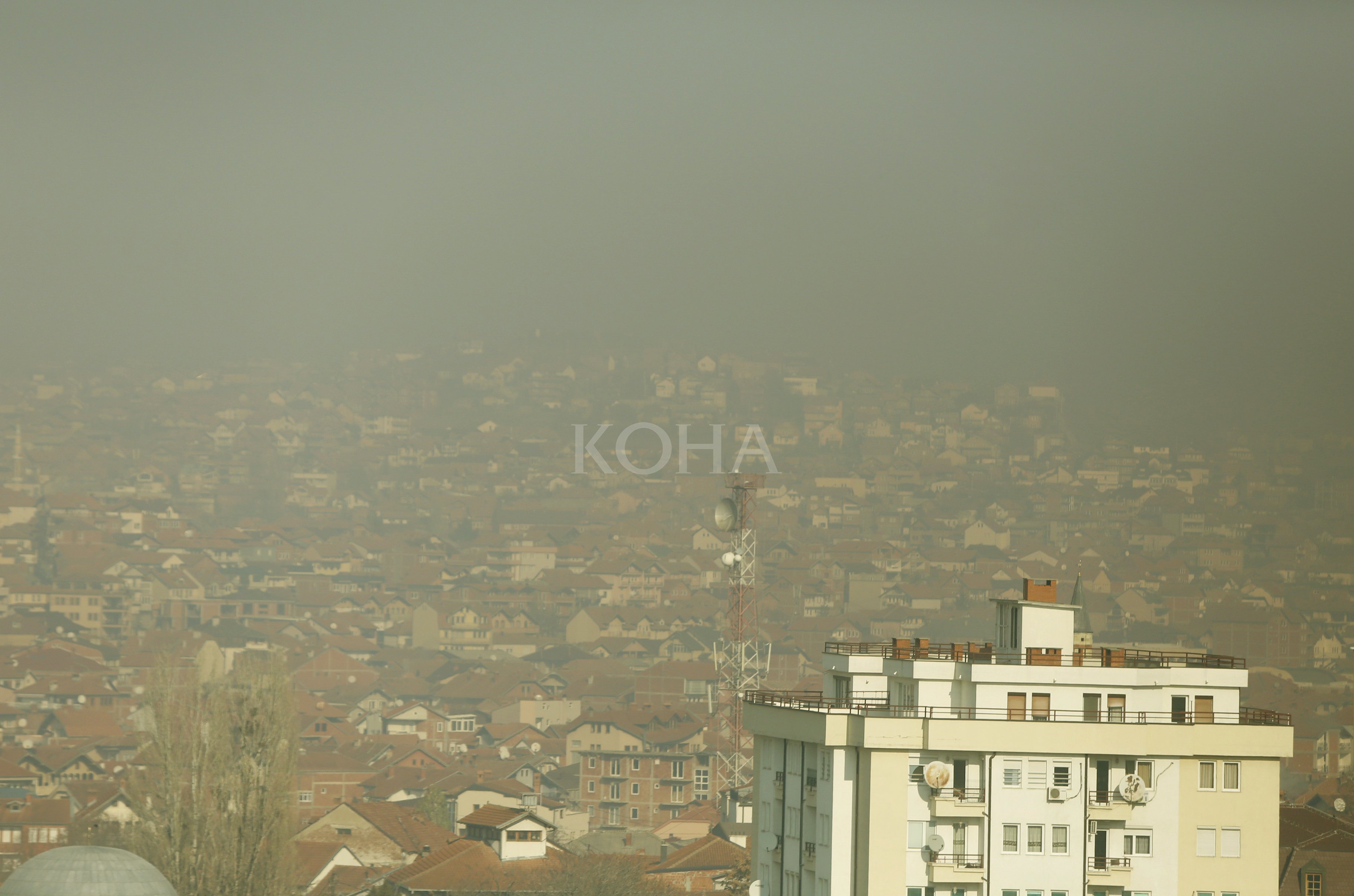 Foto: Koha / ilustrim