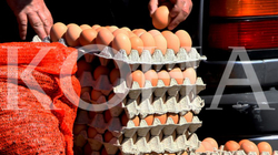 Importi i vezëve nga Serbia është i ndaluar, thotë Gjinovci