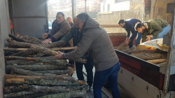 Shpërndarja e drunjve për skamnorët në Prishtinë, përplasja e re VV-PSD