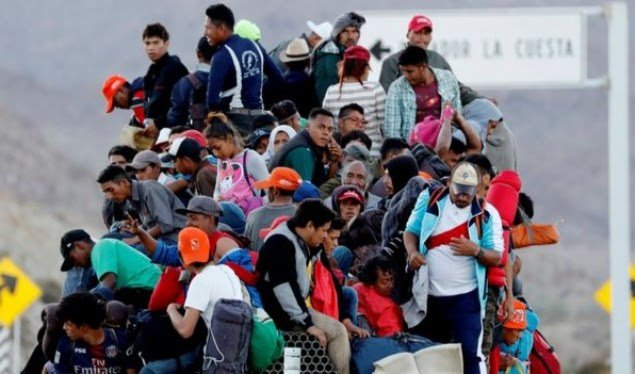 IOM: Aktualisht ka rreth 258 milionë refugjatë në botë