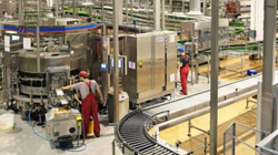 Sektori i industrisë përpunuese shënon rritje për 8.75 për qind