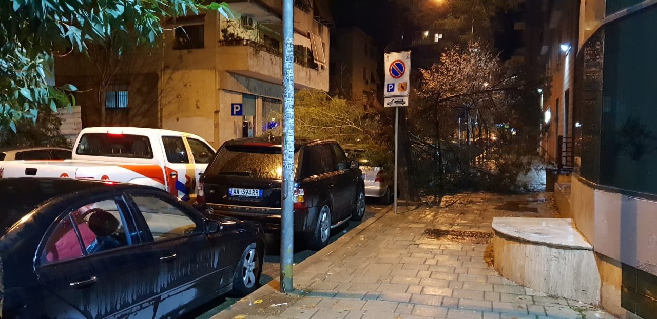 Stuhi në Tiranë, pema shkëputet e bie mbi veturën e parkuar