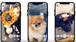 Snapchat shton filtra edhe për qen