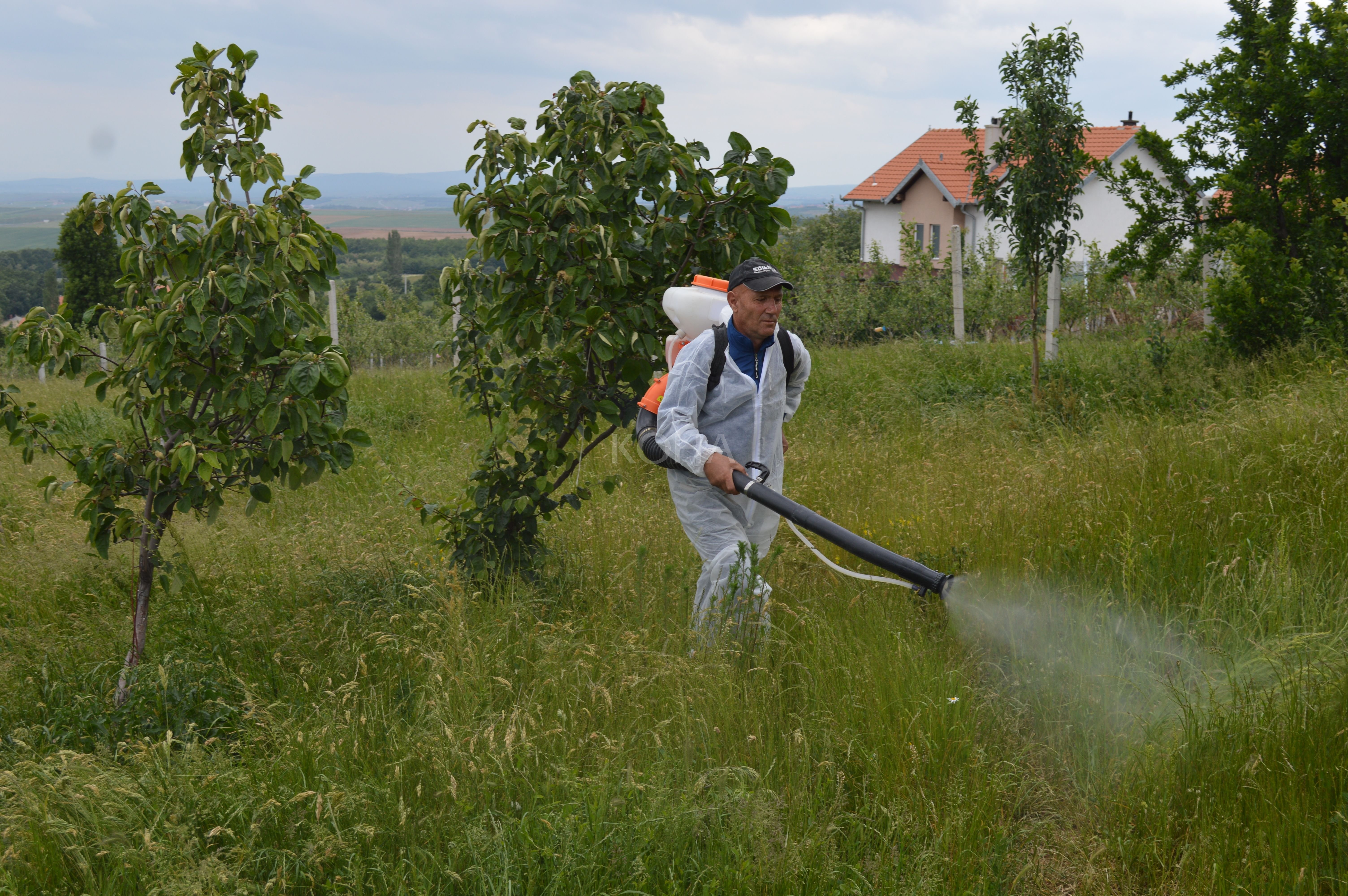 Vitia e Kamenica s`e kryejnë dezinsektimin për mungesë buxheti