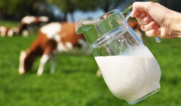 Klubi i Prodhuesve reagon ndaj vendimeve të Qeverisë për produktet e Bosnjës
