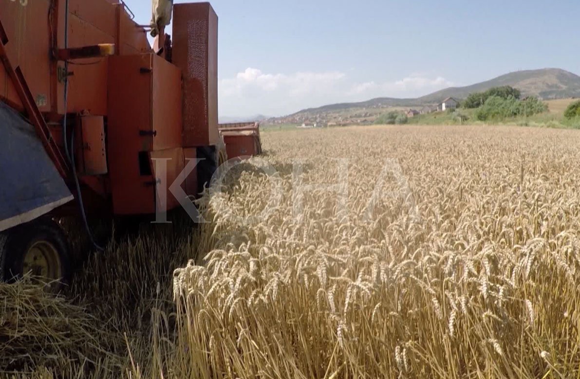 AUV-ja nuk mund ta kontrollojë nivelin e proteinave në miell, kjo po lë pasoja
