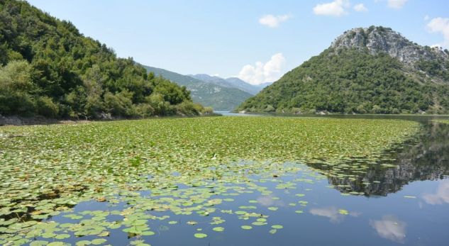 CNN: Liqeni i Shkodrës, më i jashtëzakonshmi në Evropën Jugore