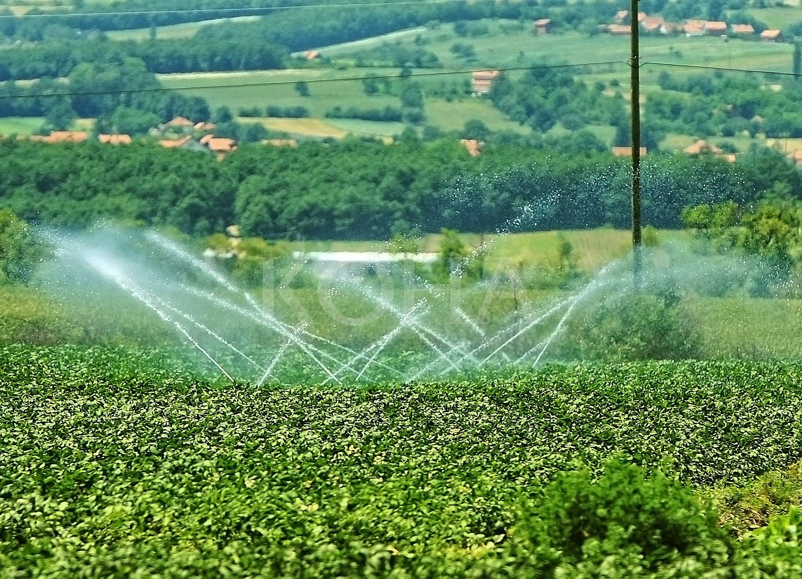 Shpërfillet bujqësia në vizionin trevjeçar të Komunës së Pejës