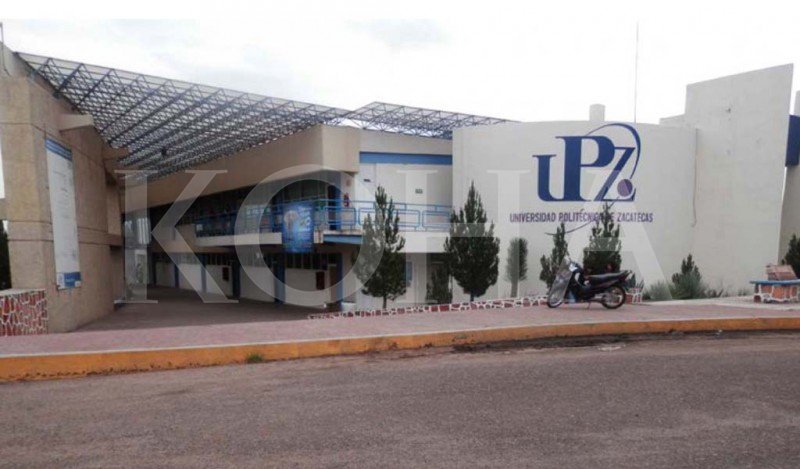 Sindikata kërkon veprime nga institucionet për evitim anarkie në universitet