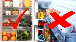 Pse nuk duhen mbajtur vezët në derën e frigoriferit