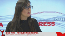Lushaku: Dështimet e diplomacisë tregojnë se Kosova është shtet pa vizion të qartë