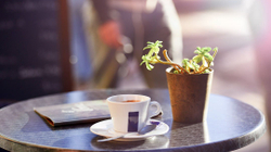 3 përfitime shëndetësore nga kafeja e mëngjesit
