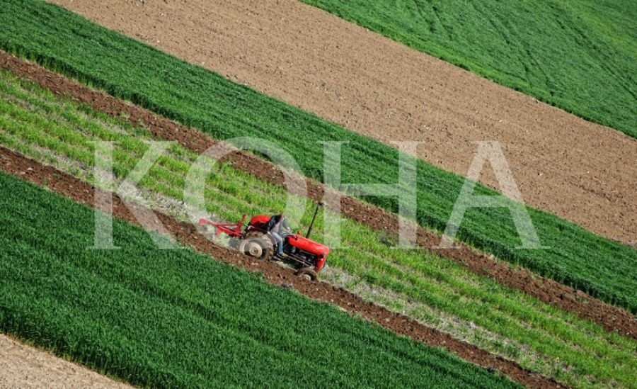Gjobë e burgim kompanisë dhe zyrtarit për mashtrim të një bujku