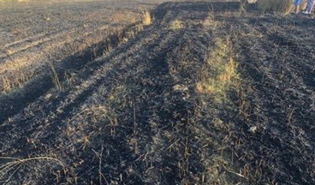 Ia vuri zjarrin hamullores së vet, zjarri përfshin edhe arën e fqinjit me mjedra