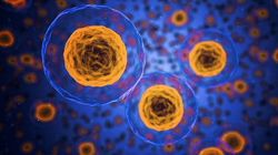 Shkencëtarët zbulojnë strukturën e re të qelizës njerëzore