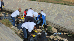 Shumë vullnetarë iu bashkuan aksionit të pastrimit në Lipjan e Prishtinë
