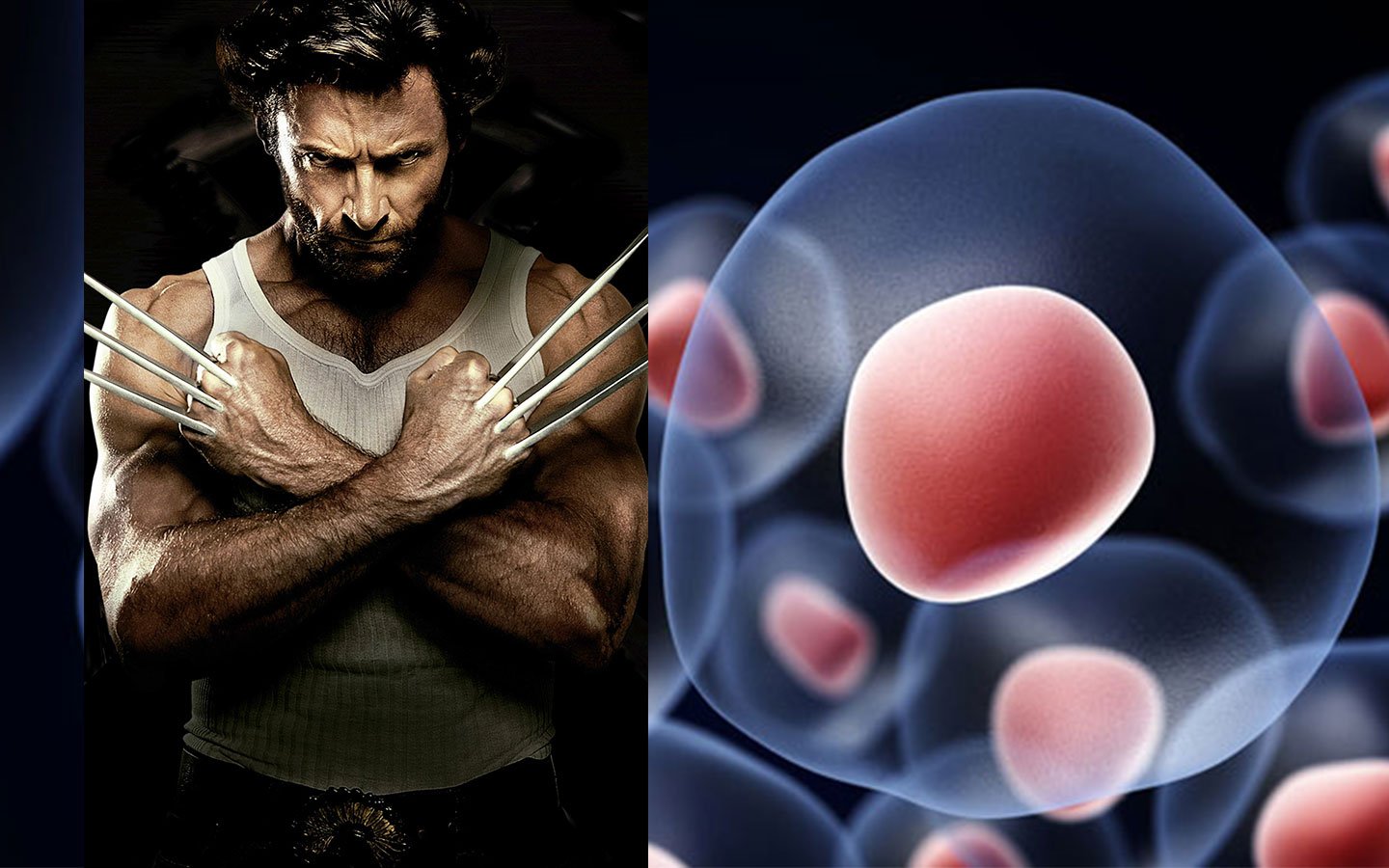 Sipas teknikës së re plagët mund të shërohen duke rigjeneruar lëkurën ngjashëm sikurse Wolverine