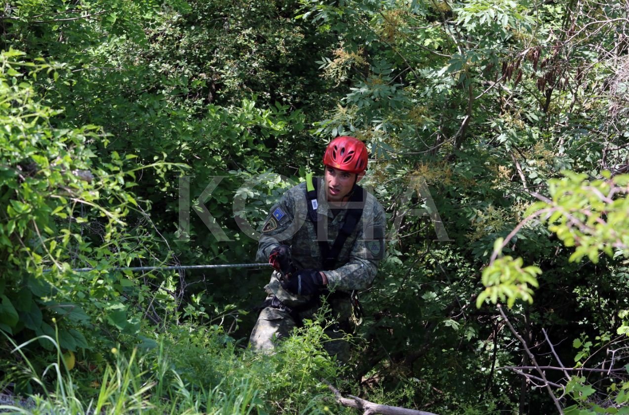 Reagon NATO: Ushtria e Kosovës vetëm me ndryshime kushtetuese