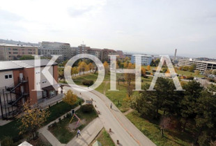 Foto: Koha