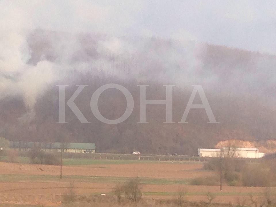 Foto: Koha