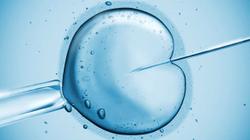 Një në pesë gra ka shans për shtatzëni natyrale pas IVF-së