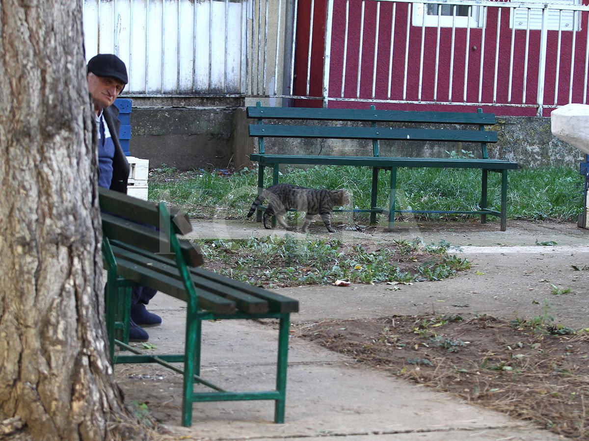 Rritet numri i të moshuarve pa kujdes familjar në Gjilan