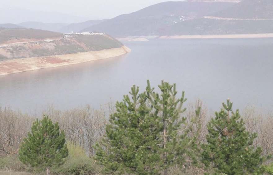 Ndalohet peshkimi në Fierzë, qëllim shumimi i krapit në liqen