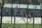 Foto: Koha