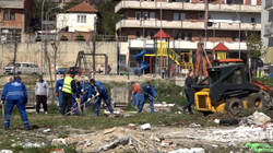 Në Ditën e Tokës, mbillen shumë fidanë e pastrohen disa vendbanime