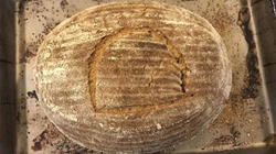 Shkencëtari bën bukë me maja 4.500 vjeçare, habitet nga shija