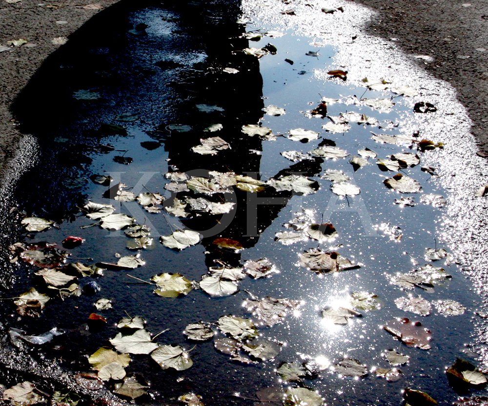 Foto: Alban Bujari / KD