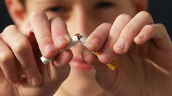 Në një qytet në SHBA ndalohet pirja e duhanit brenda në shtëpi, hashashi lejohet