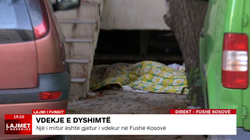 Avokati i Popullit: Autoritetet dështuan ta mbrojnë të miturin në Fushë Kosovë i cili u dhunua e pastaj u vra