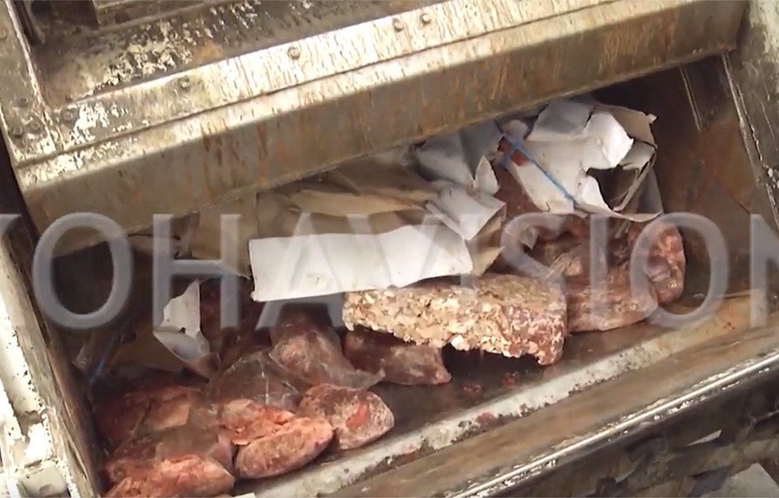 Foto: Koha / ilustrim