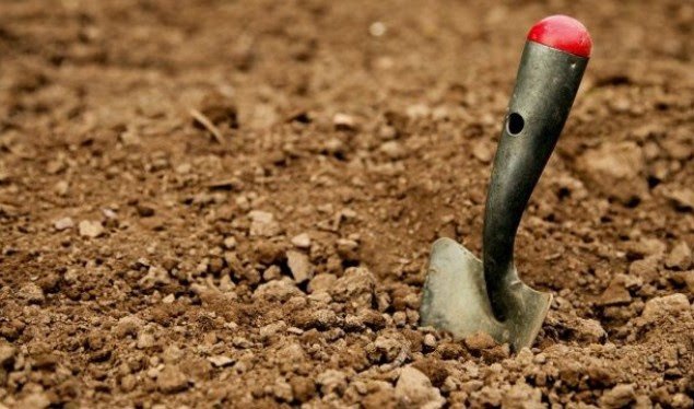 Arkeologët gjejnë skeletin e një vajze që jetoi 5 mijë vjet më parë
