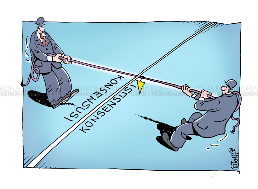 Karikatura e ditës - 20 shkurt 2019