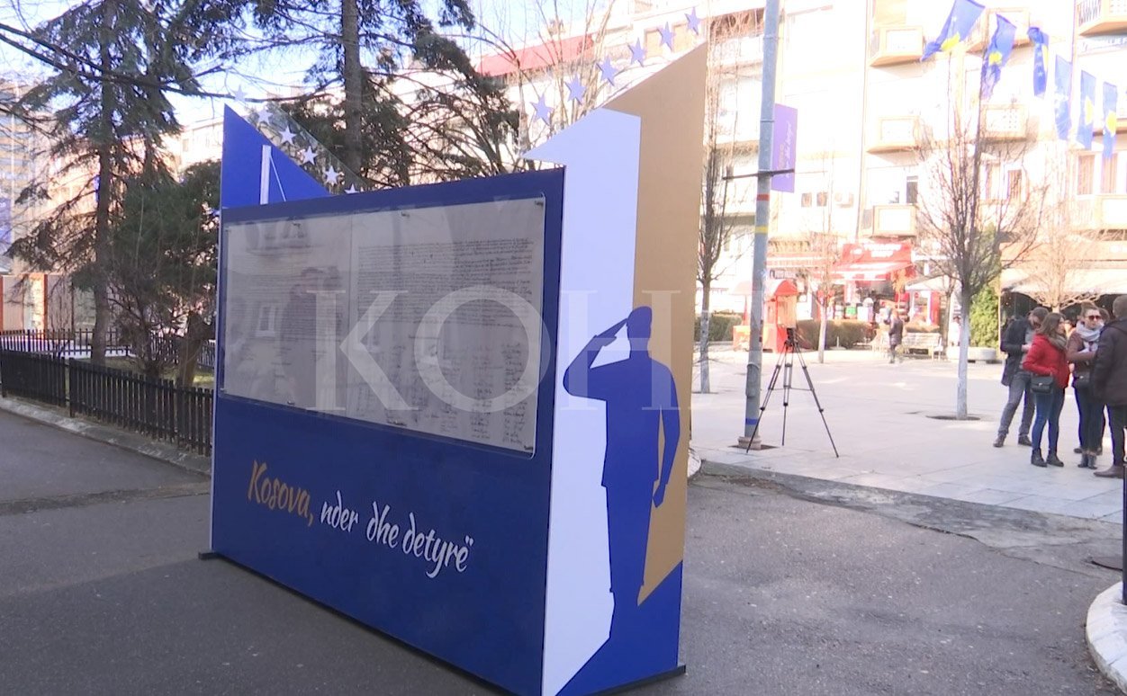 Shteti pagoi 3000 euro për 1000 stilolapsa, 5 parashuta 5, 770 euro... për 11 vjetorin e Pavarësisë