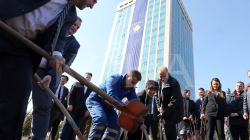 Mbillen drunj Sakura në Prishtinë, që simbolizojnë miqësinë japonezo-kosovare
