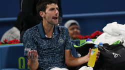 Gjokoviq eliminohet nga “Qatar Open”, në finale Agut – Berdych