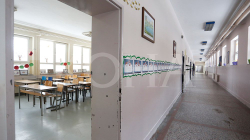 Greva e mësimdhënësve, INDEP-i kërkon reformë rrënjësore për sistem të drejtë e të balancuar të pagave