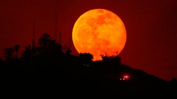 “Hëna e përgjakur” do të shihet në fundjavë