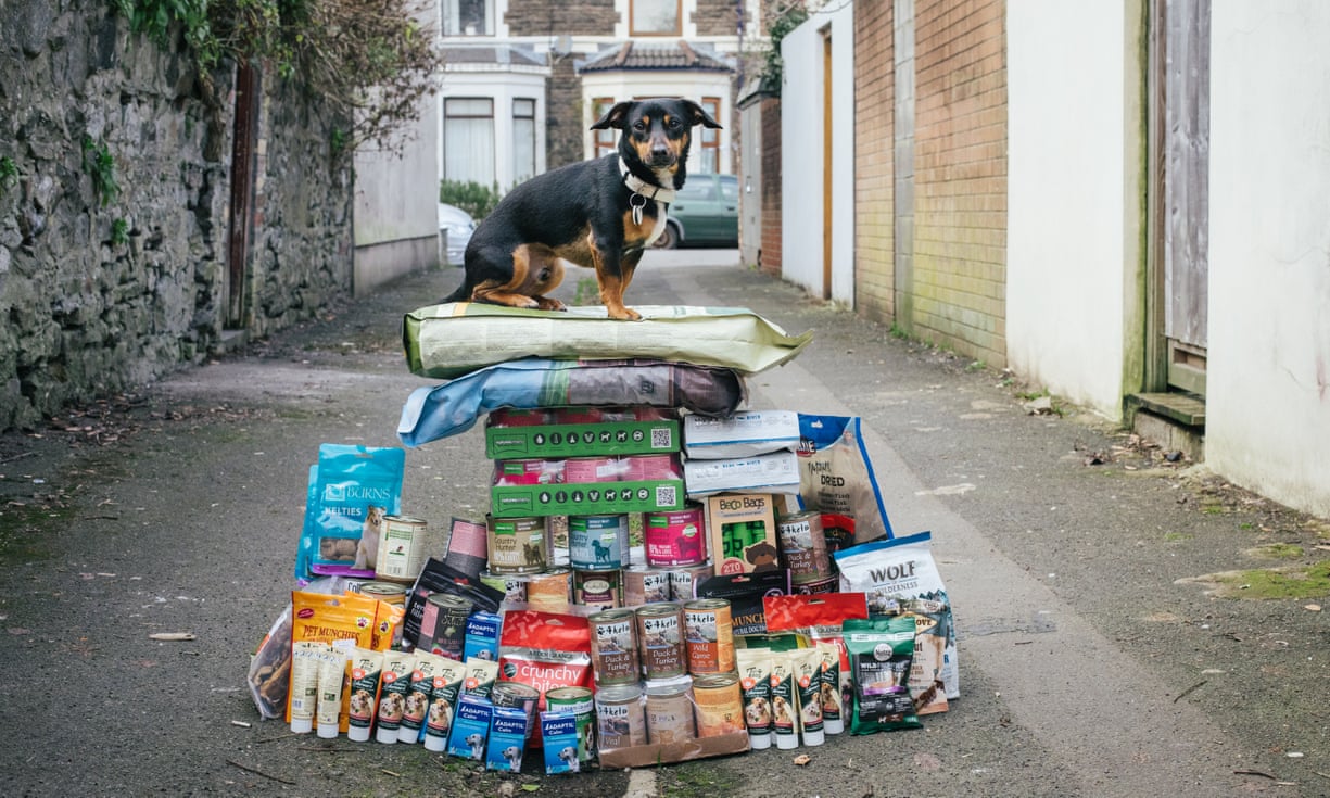 Foto: The Guardian