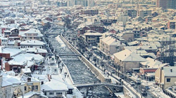 Shkojnë në suficit 34 mijë euro të projektit për strehimoren e qenve në Prizren