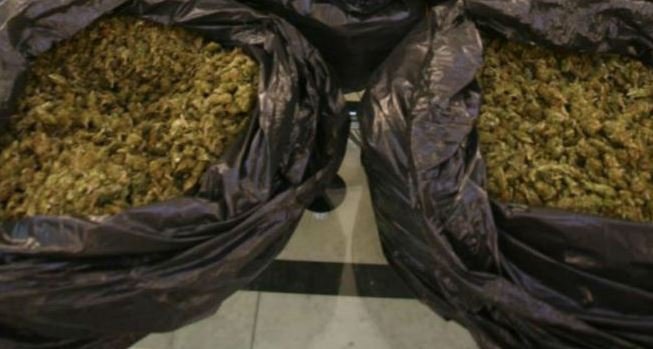 Arrestohet shqiptari në Itali, kishte në veturë 100 kg drogë
