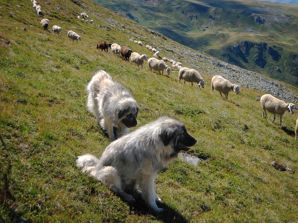 Foto: Nedi Limani / Kosovoguide